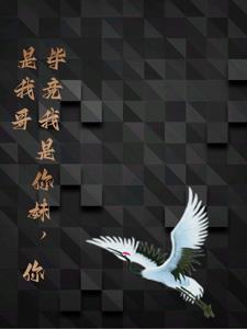 天道九叶