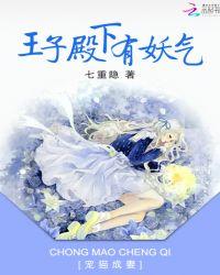 公主与王子们的爱恋