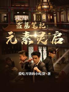 司机与少爷