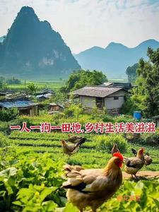 重生后，真千金打脸全豪门大佬