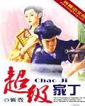 超级家丁